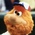 youppi