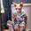 Cassandra_Christolos