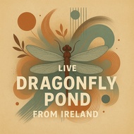 Live from Ireland! The NashUp @ The Dragonfly Pond ⪩༏⪨ 