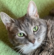 Swiftie Sundays: For Riley 💔🌈