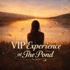 August VIP Concert
