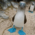 Steve_Nye